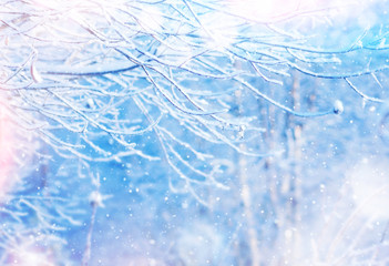 Winter scene with snow-covered tree and falling snow