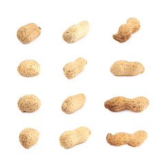 Single peanut in a shell isolated
