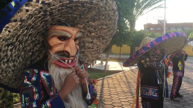 Tecuanes M&eacute;xico