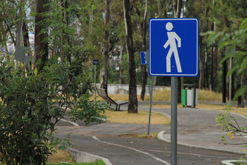 Camino en parque