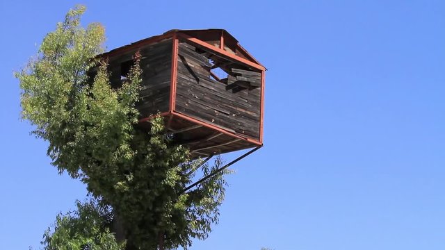 Casa rota en &aacute;rbol