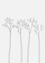 Vector. Set of drawn trees background.
