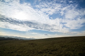 Meadow with trees and views to mountains. Slovakia
