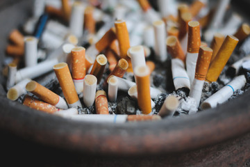 Close Up Many Waste Cigarette Butts in Ashtray