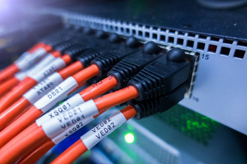 Information Technology Computer Network. Сonnector RG 45. Telecommunication Cables Connected