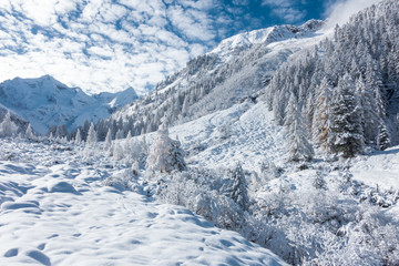 Fototapeta na wymiar Winterlandschaft in Österreich