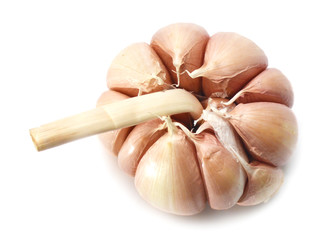 Garlics on white background