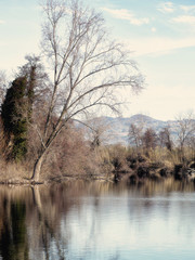 Winter lake, Europe. Vertical format.