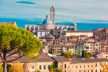 Beautiful view of Dome and campanile of Siena Cathedral, Duomo di Siena, and Old Town of medieval city of Siena in the sunny day, Tuscany, Italy - obrazy, fototapety, plakaty