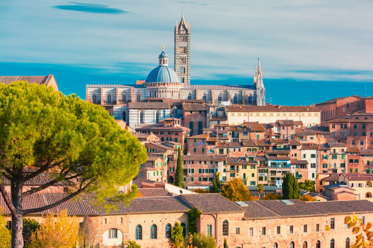 Fototapeta Beautiful view of Dome and campanile of Siena Cathedral, Duomo di Siena, and Old Town of medieval city of Siena in the sunny day, Tuscany, Italy