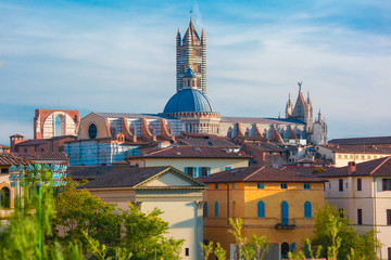 Obraz premium Beautiful view of Dome and campanile of Siena Cathedral, Duomo di Siena, and Old Town of medieval city of Siena in the sunny day, Tuscany, Italy