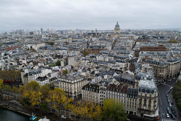 Fototapeta premium Paris from the top of Notre Dame