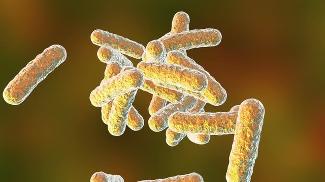 Human pathogenic bacteria floating on colorful background, 3D animation