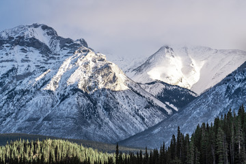 Snow covered mountains with thick forested valley below
