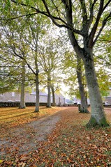 Belle lumière d'automne à travers les arbres dans le parc de la chapelle Gonéry de Plougrescant en Bretagne
