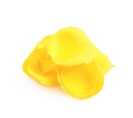 Yellow rose petal isolated