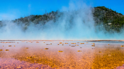 The Grand Prismatic Spring