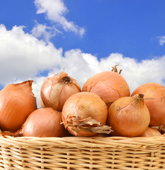 fresh onions vegetables isolated in basket on a blue sky with clouds