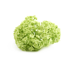 Green decorational flower element