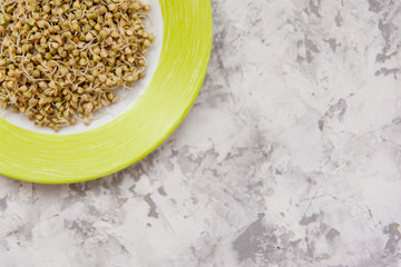Sprouted green buckwheat on a plate overhead. Healthy raw diet concept.
