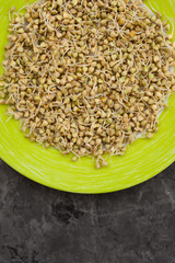 Sprouted green buckwheat on a plate overhead. Healthy raw diet concept.