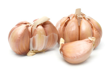 Garlic isolated on white