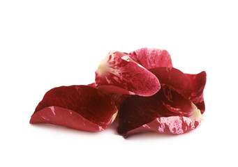 Red rose petal isolated