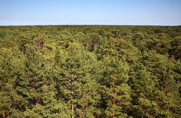 Landscape near Hel town. Hel Peninsula. Poland