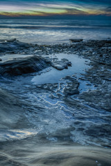 Diverse Beauty Graces the California Coast