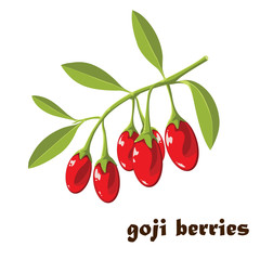 Superfood. Goji berries