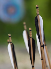 hand crafted arrows in medieval style each arrow with black and white color on the feather