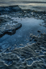 Diverse Beauty Graces the California Coast