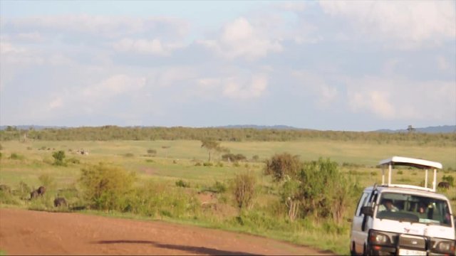 Safari Van Drive By