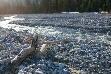 Sonnenuntergang im Friedergries