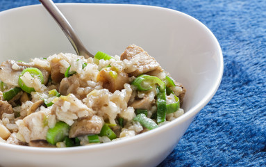 Pork and mushroom Stroganoff with rice on a blue background detail