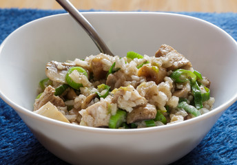 Pork and mushroom Stroganoff with rice on view