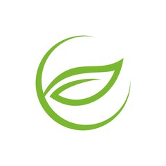 Leaf, tree, natural logo design template vector illustration