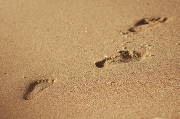 Fototapeta na wymiar Footprint or trace in summer sand beach or coastline on holidays - background texture - top view