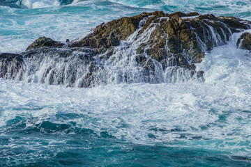 Diverse Beauty Graces the California Coast