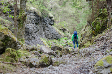 Fototapeta premium Trail in the rocky forest and the tourist is ahead