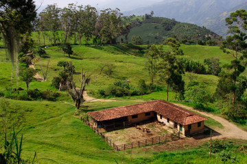 CAMPO