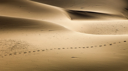 Fototapeta na wymiar 중국 사막과 마귀성