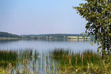 on the lake shore on a summer day