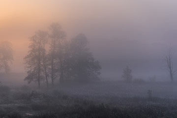 Dawn in small Gorki village in Kampinos Forest, Masovia region of Poland