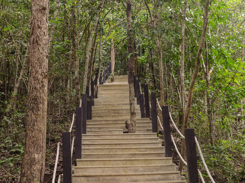 Fototapeta Pasarela de madera en un Bosque selva al Norte de Tailandia, Chiang Mai