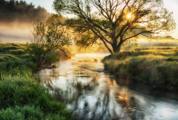 spring morning. a picturesque foggy dawn. Sun rays