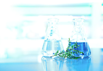 blue liquid and water in glass flask with white flower with green leave in medical science laboratory background