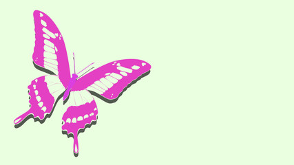 pink butterfly on the album sheet