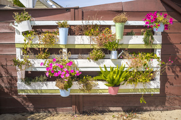 Flowerpots hanging from a pallet on the wall