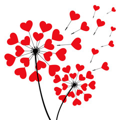 Fototapeta premium Two romantic dandelions heart shaped